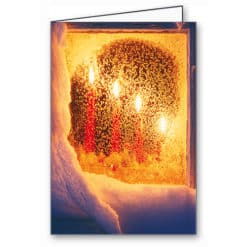 Wärme und Geborgenheit